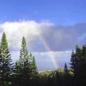 Meet your Posher, Becca